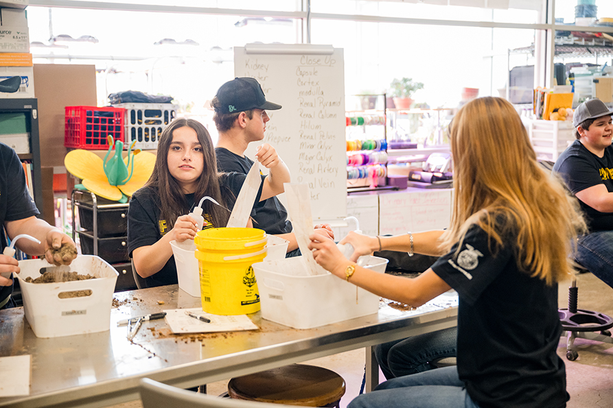 Students work together at a classroom lab table during a hands-on FFA activity.