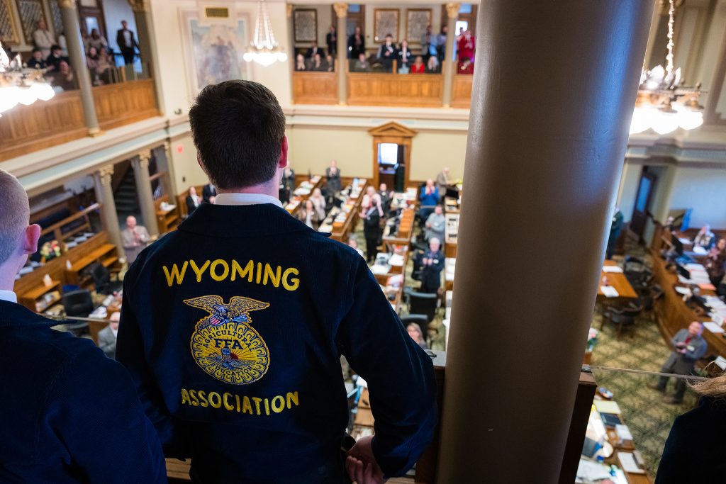 A Wyoming FFA State Officer looks out over the Wyoming House chamber from the gallery during CTE Month recognition at the State Capitol.