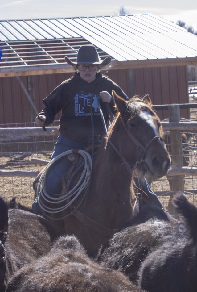 Student wearing a cowboy hat rides a horse while roping cattle in a corral during ranch work.