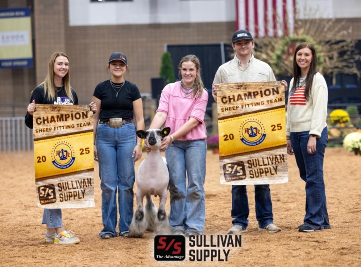 Five FFA members stand with a fitted sheep and championship banners after winning the Champion Sheep Fitting Team award at a livestock show.